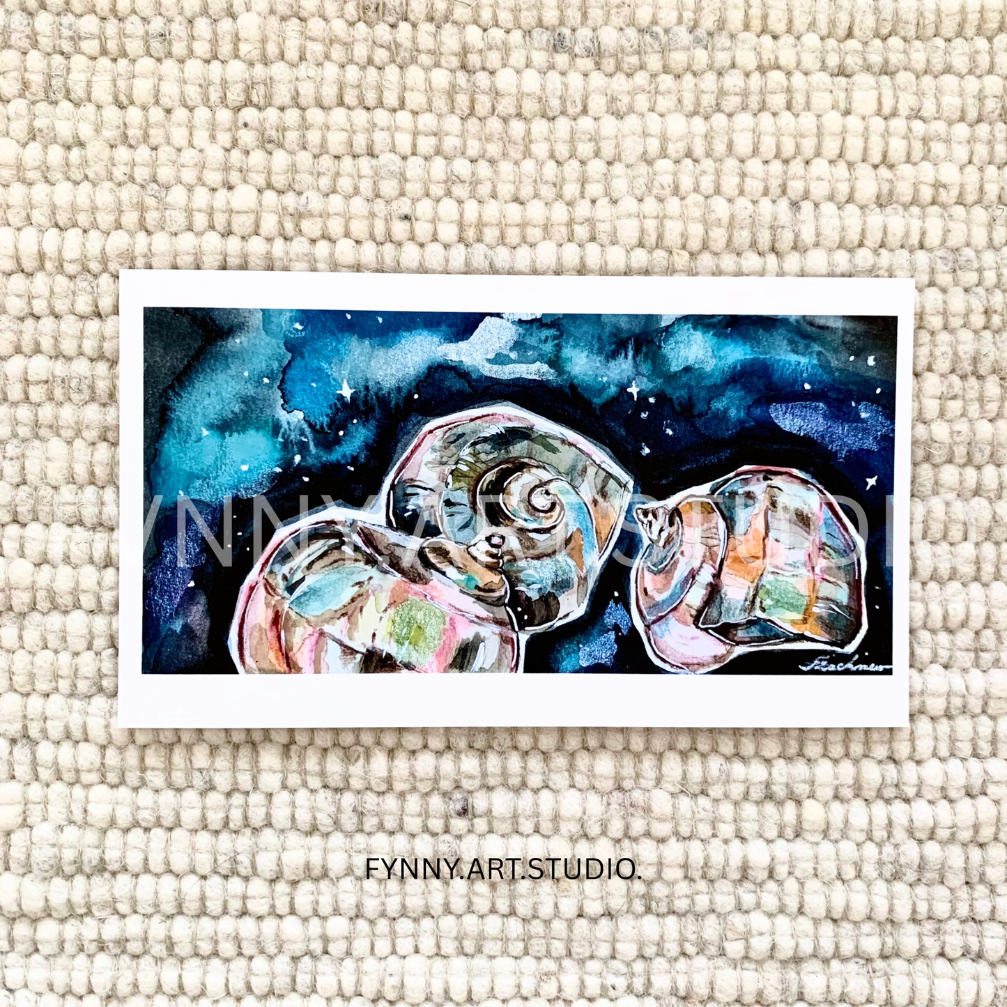 Rainbow shells.